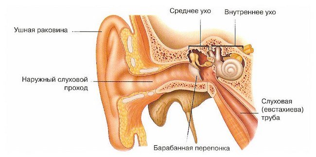 Закладывает уши в самолете